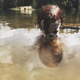 Illustration for article titled Tiny Pennywise Will Make You Want to Float Too
